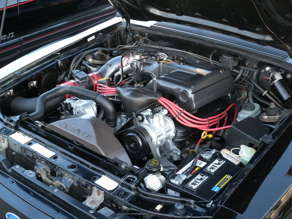 DSCN4424.webp
