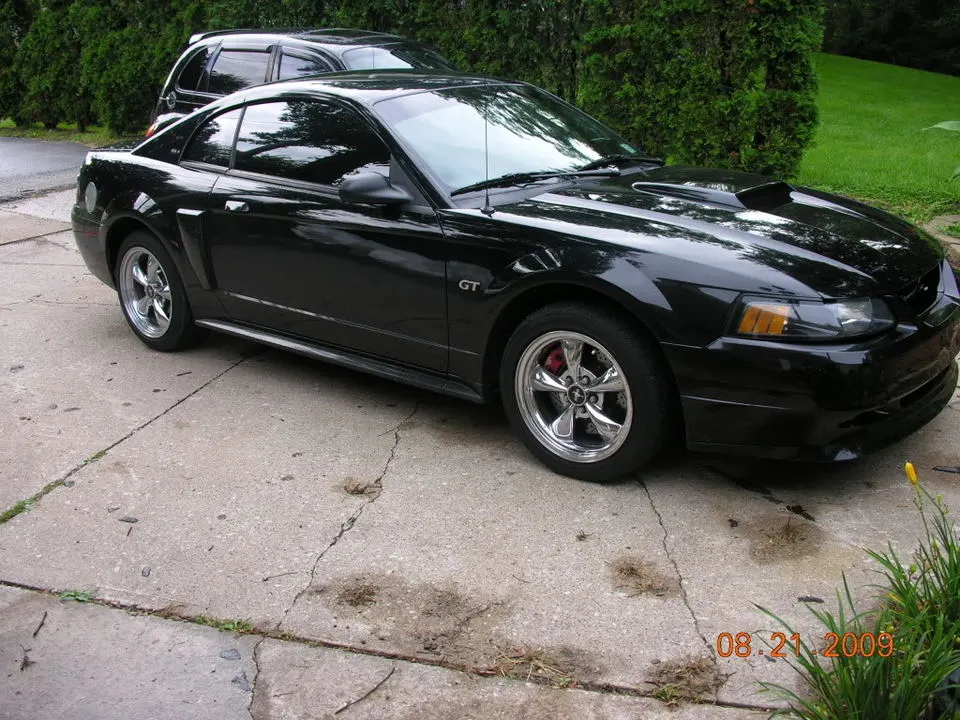 DSCN4431.webp