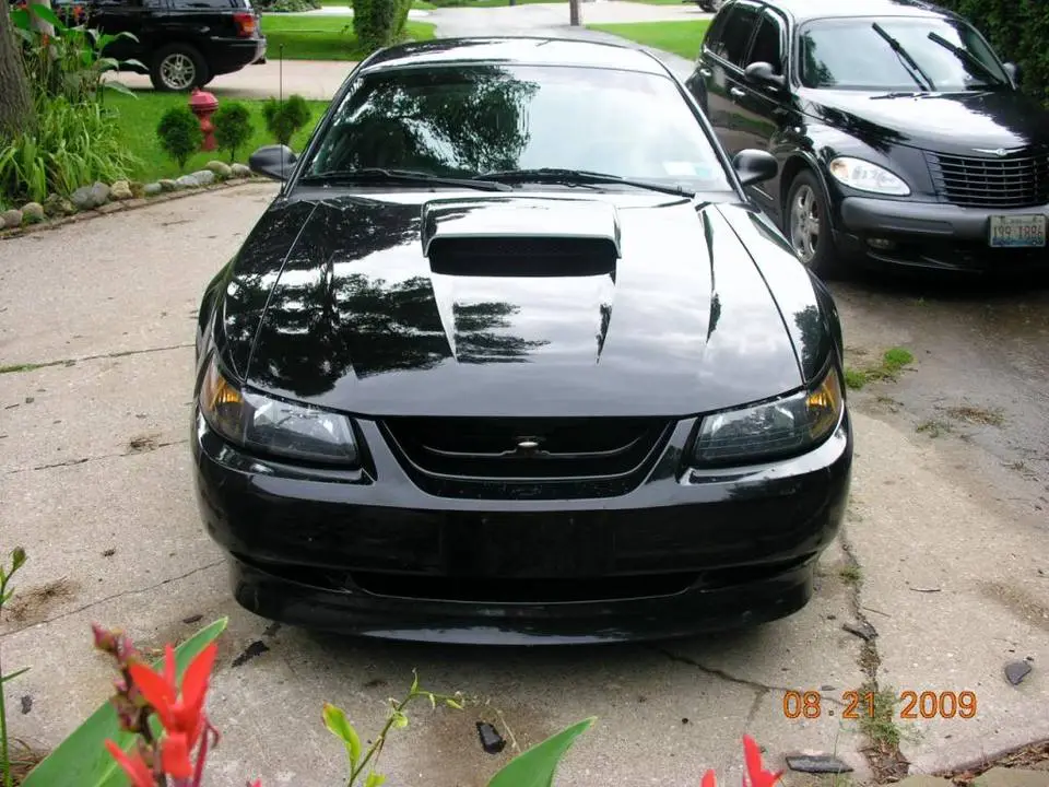 DSCN4433.webp