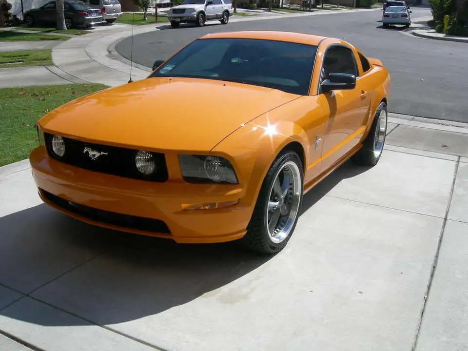 DSCN4434.webp