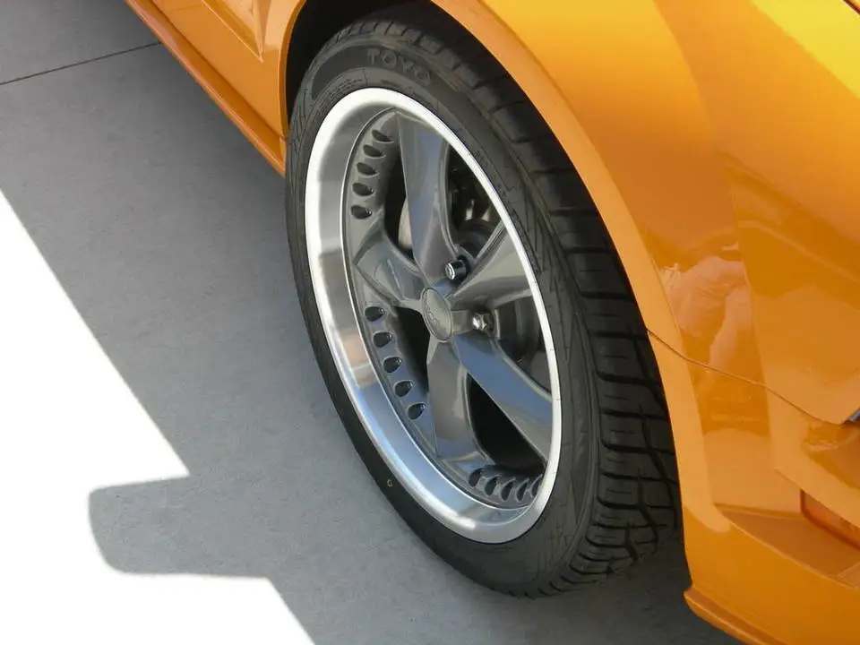 DSCN4443.webp