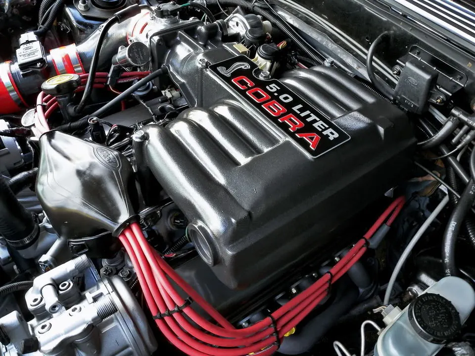 DSCN4536.webp