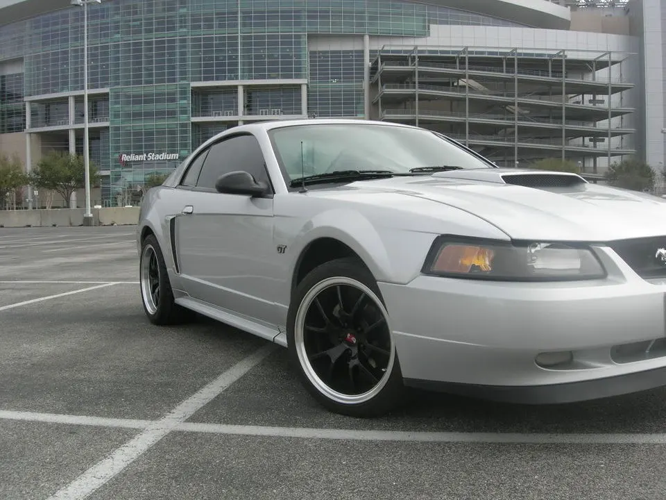 DSCN4695.webp