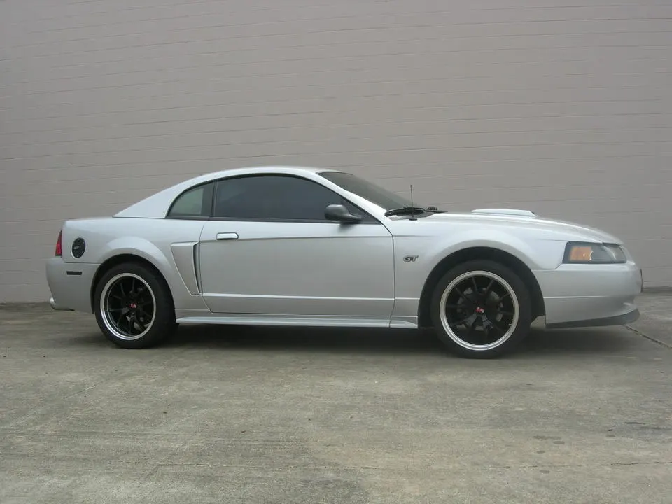 DSCN4700.webp