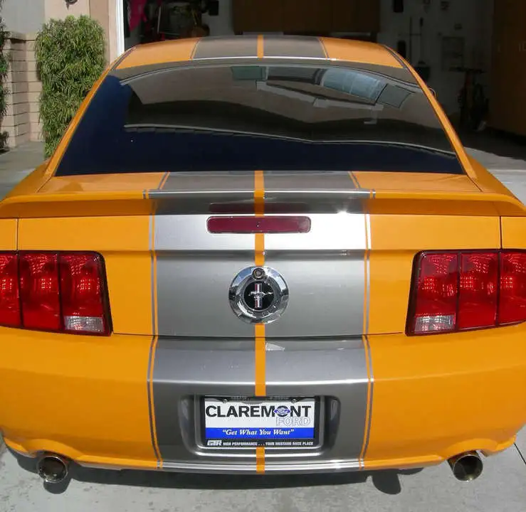 DSCN4865.webp