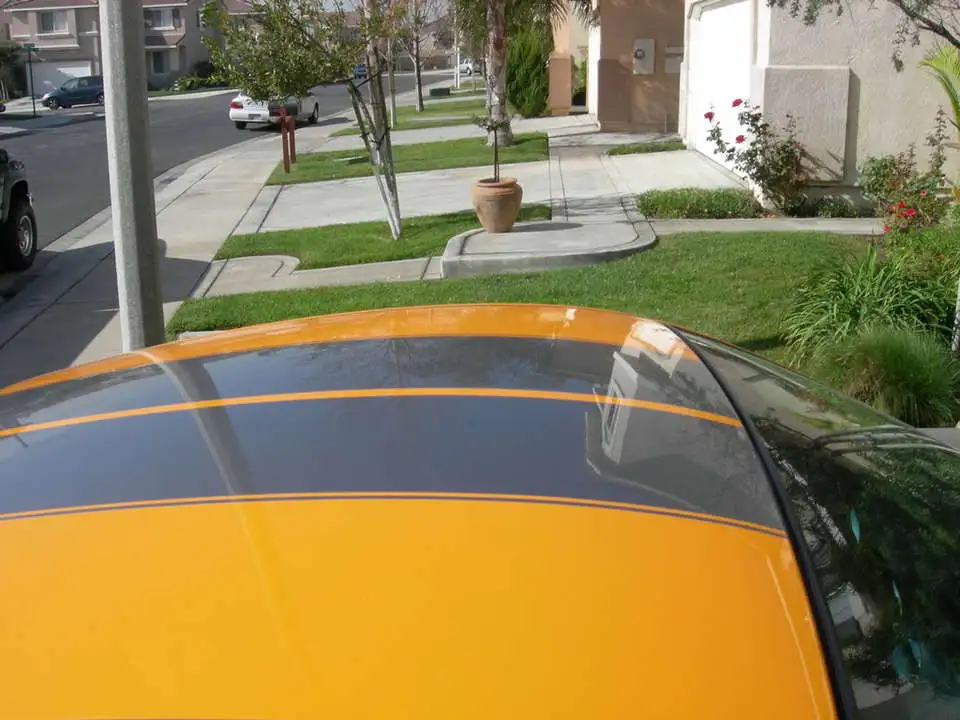 DSCN4868.webp