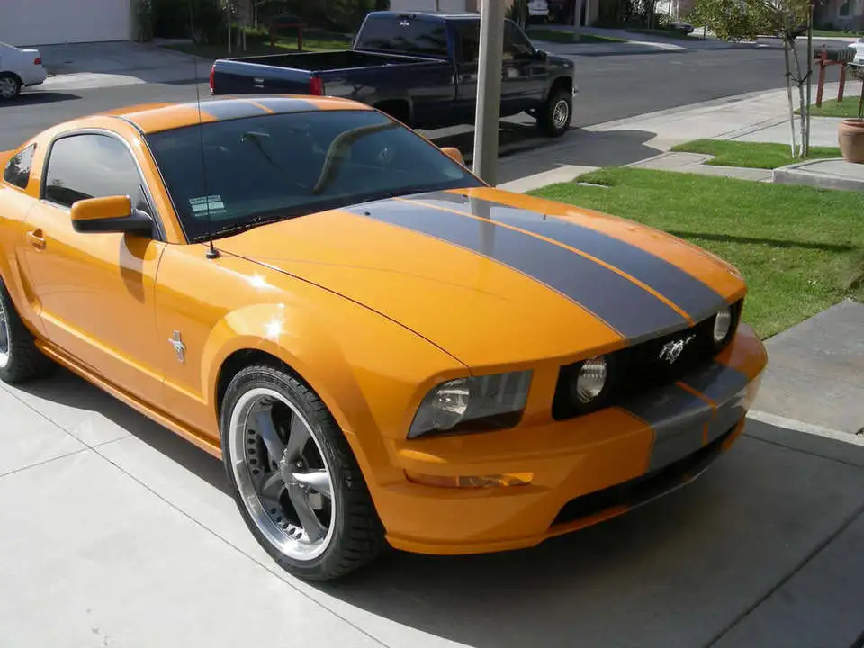 DSCN4871.webp
