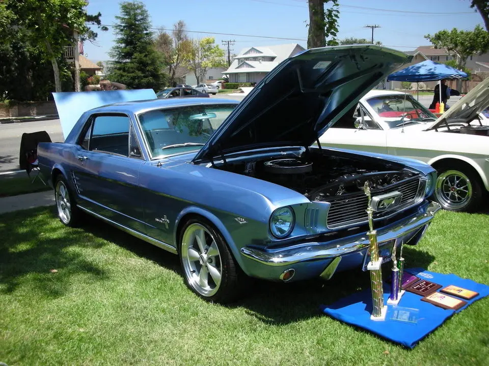 DSCN4891.webp