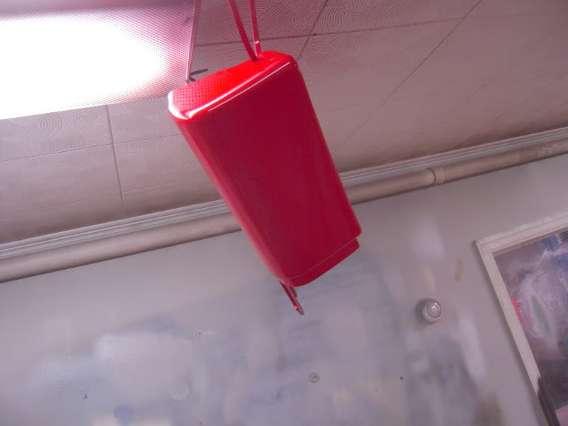 DSCN4993.webp