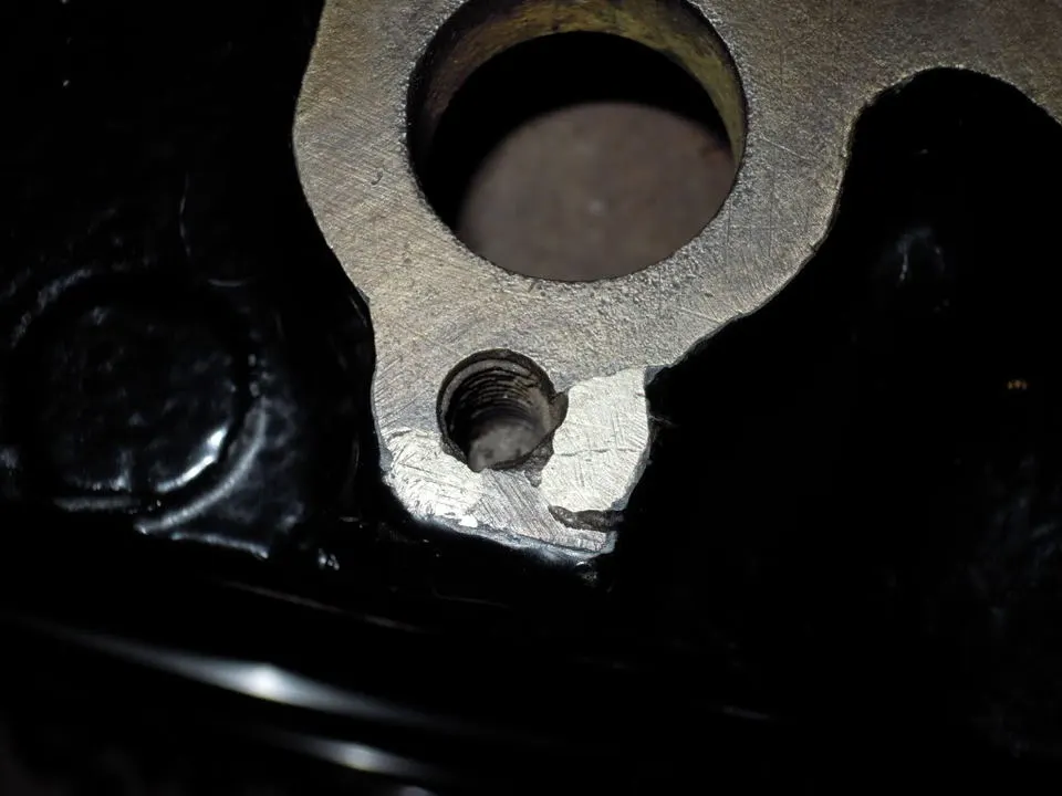 DSCN5060.webp