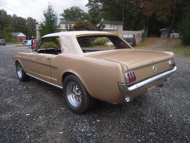 DSCN5090.webp