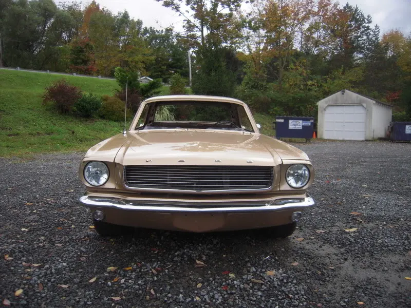 DSCN5093.webp