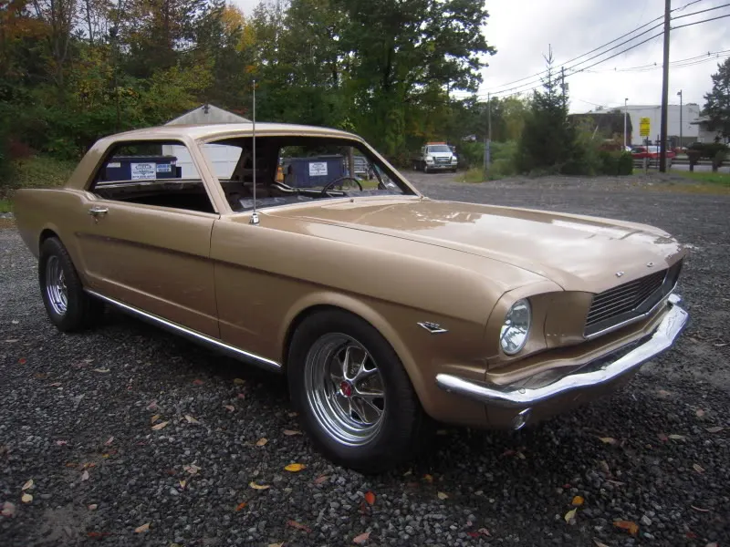 DSCN5094.webp