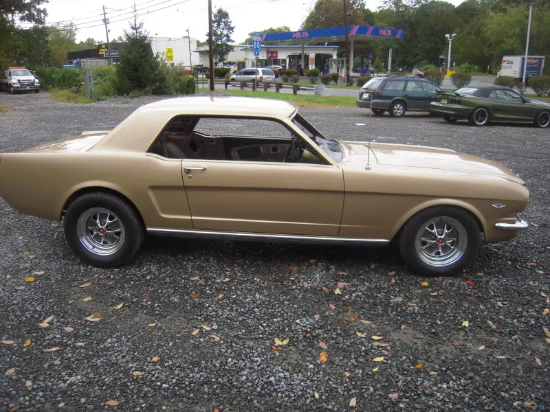 DSCN5095.webp