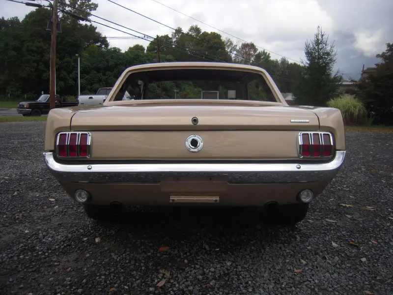 DSCN5097.webp