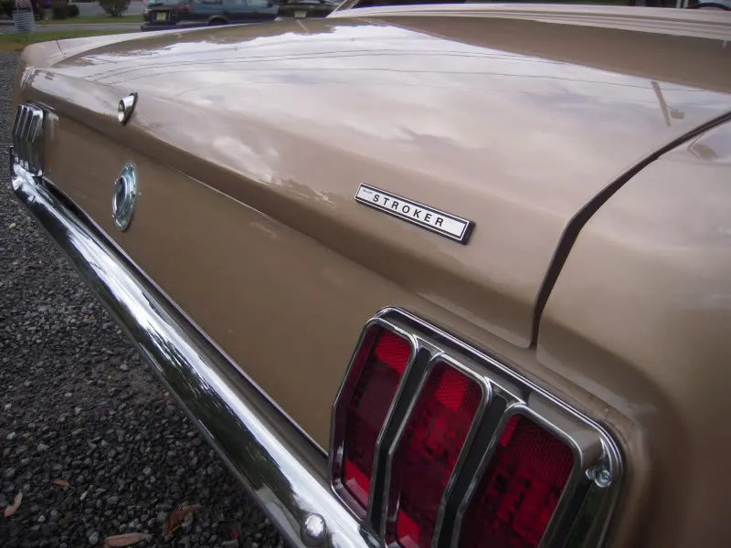DSCN5098.webp