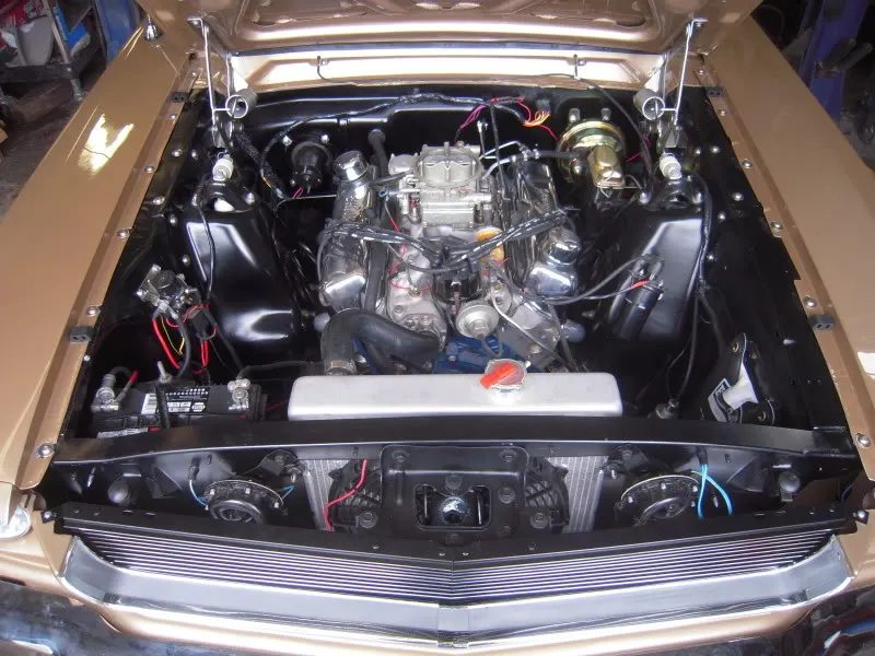 DSCN5099.webp