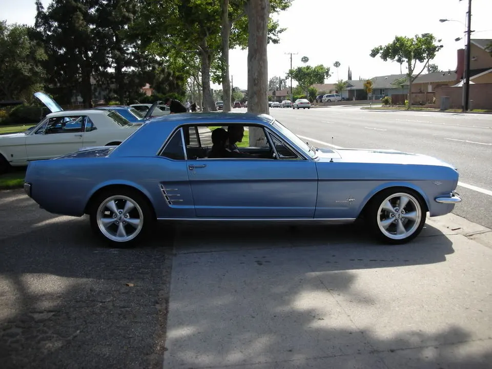DSCN5148.webp