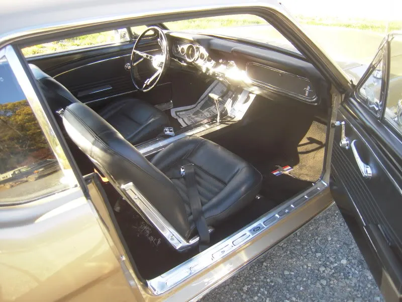 DSCN5165.webp