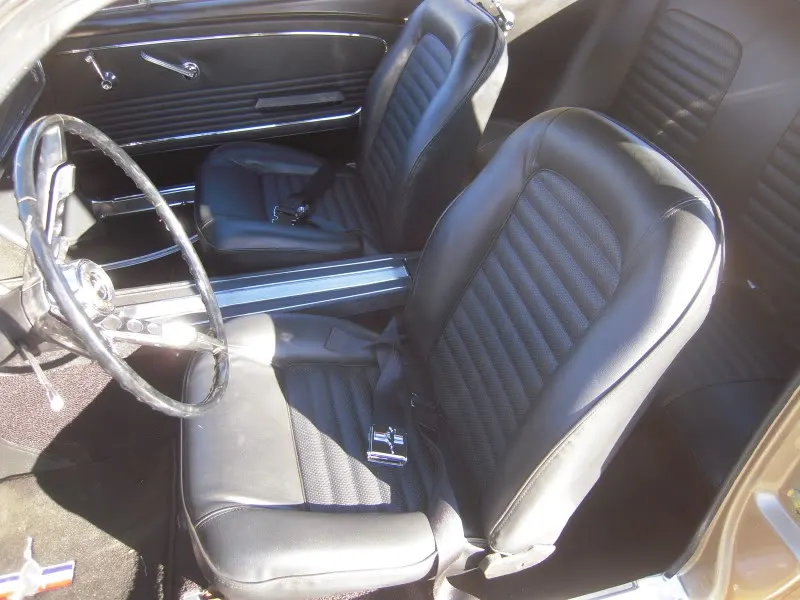 DSCN5167.webp