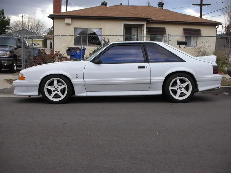DSCN5192.webp