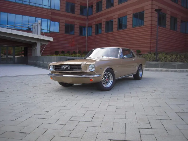 DSCN5254.webp
