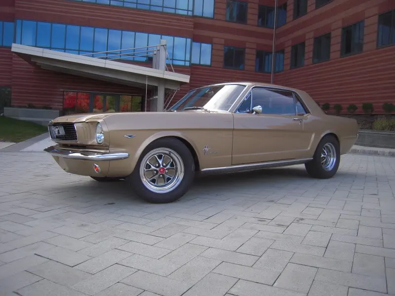 DSCN5255.webp
