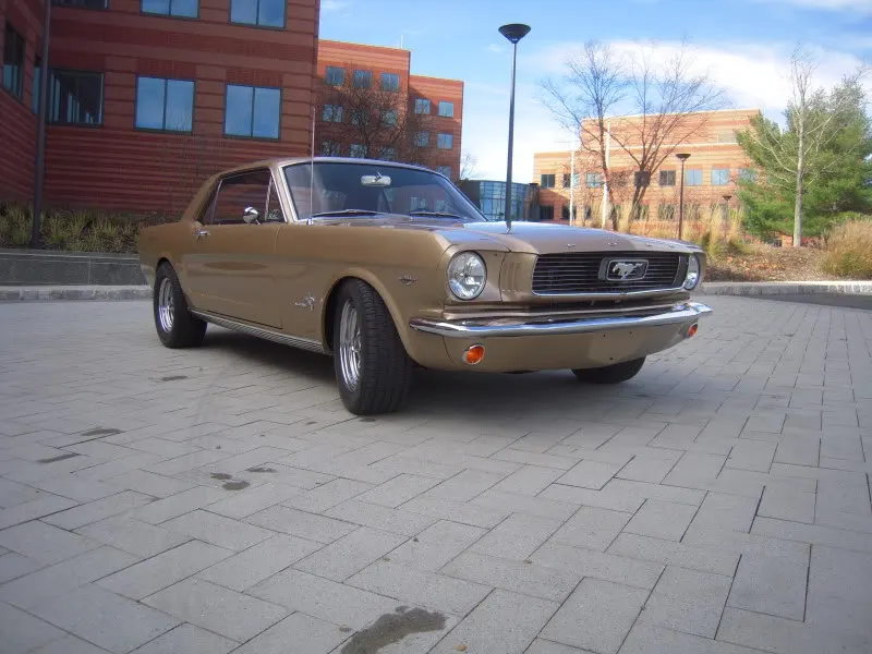 DSCN5256.webp