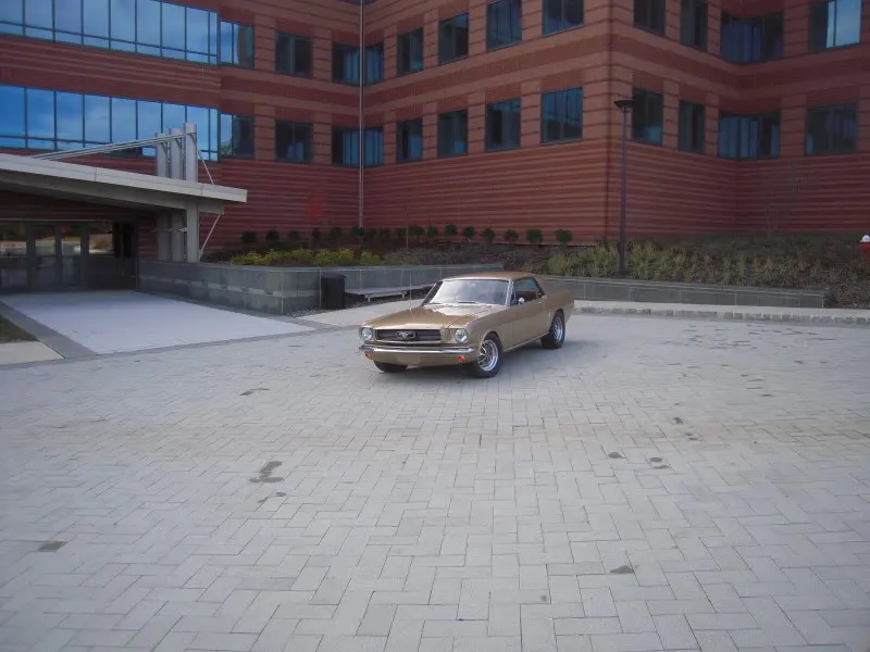 DSCN5257.webp