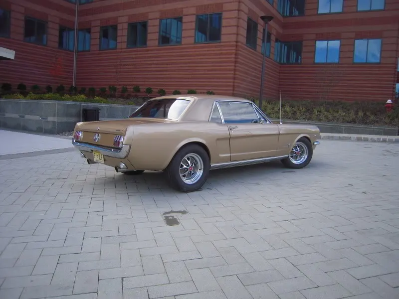 DSCN5258.webp