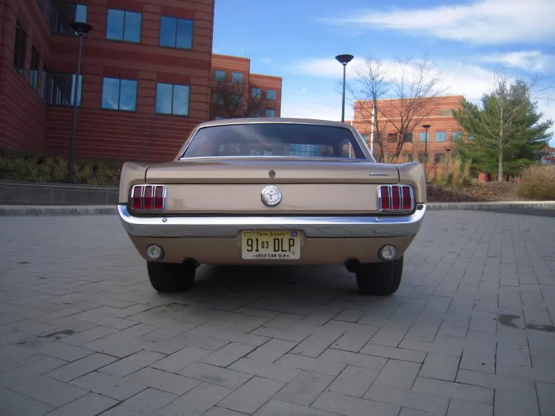 DSCN5259.webp