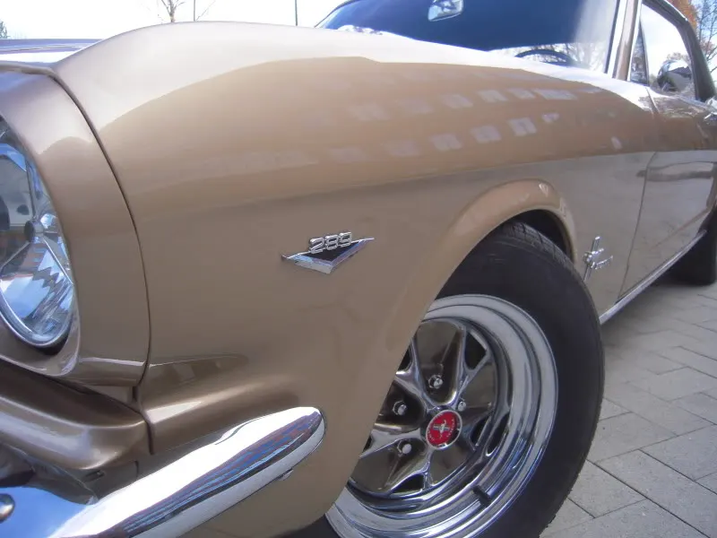 DSCN5261.webp