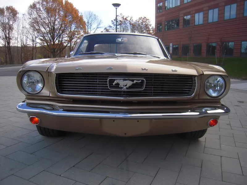 DSCN5262.webp