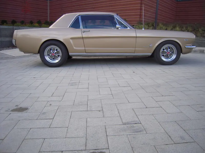 DSCN5263.webp