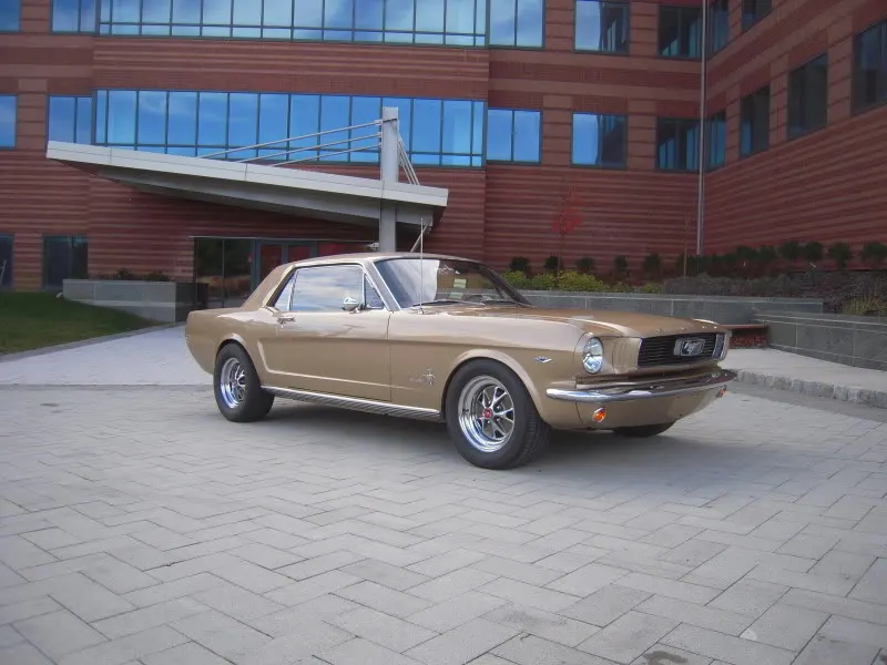 DSCN5264.webp