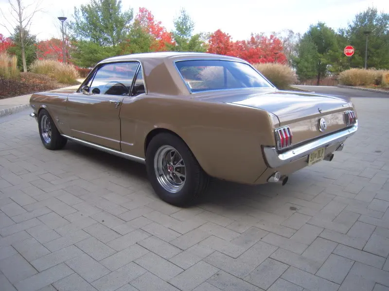 DSCN5265.webp