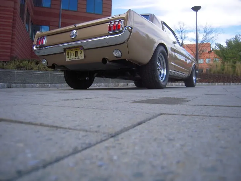 DSCN5266.webp