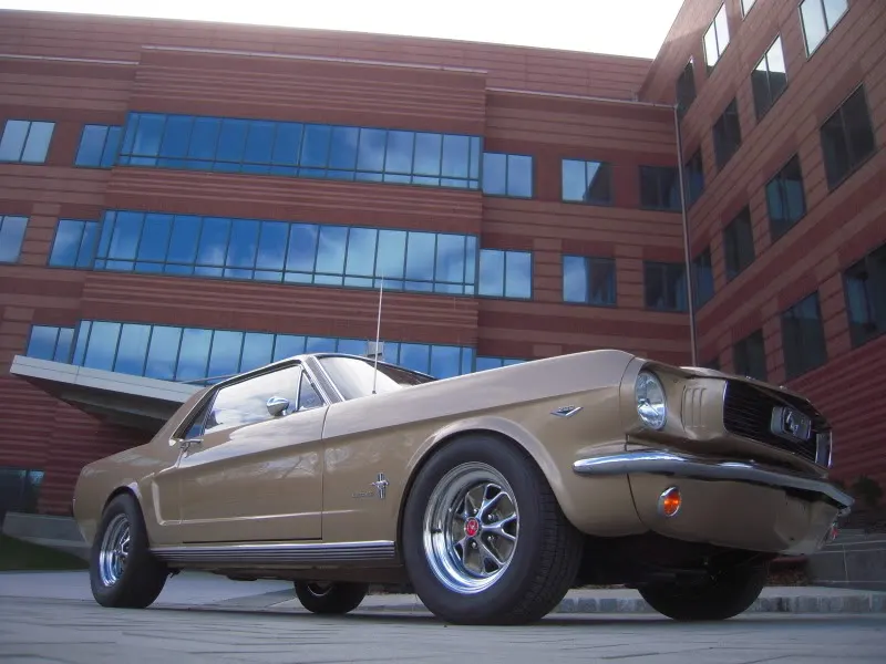 DSCN5267.webp