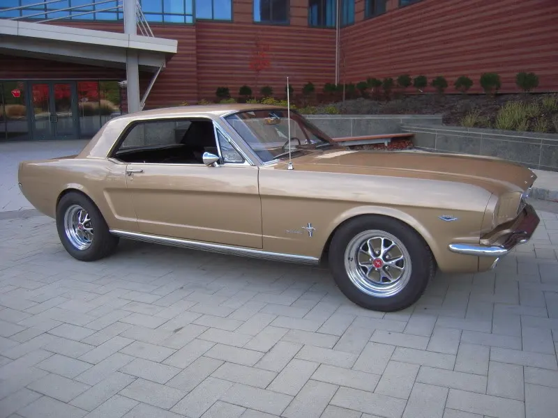 DSCN5268.webp
