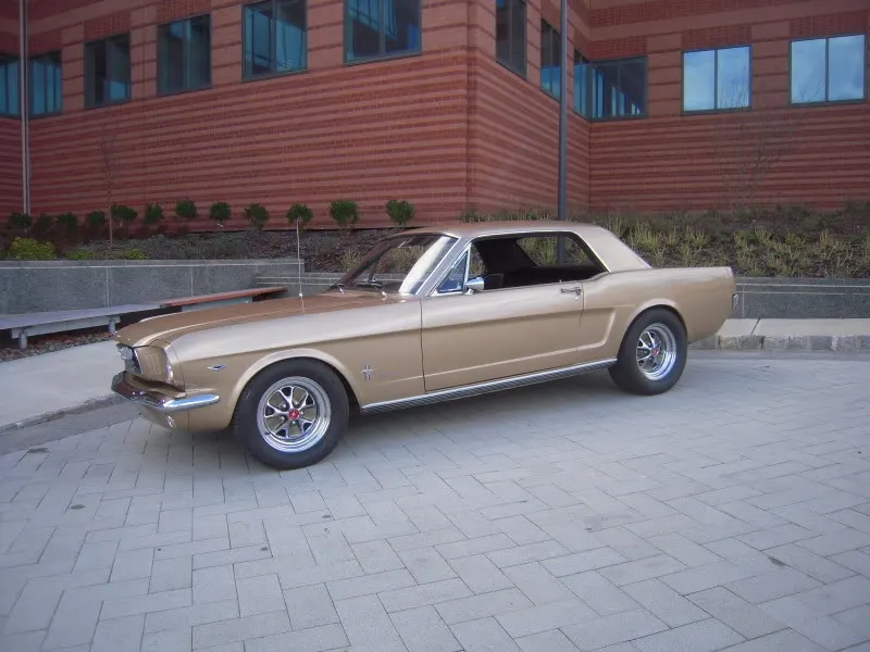 DSCN5269.webp