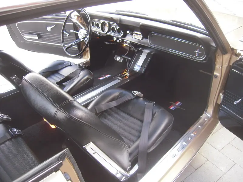 DSCN5271.webp