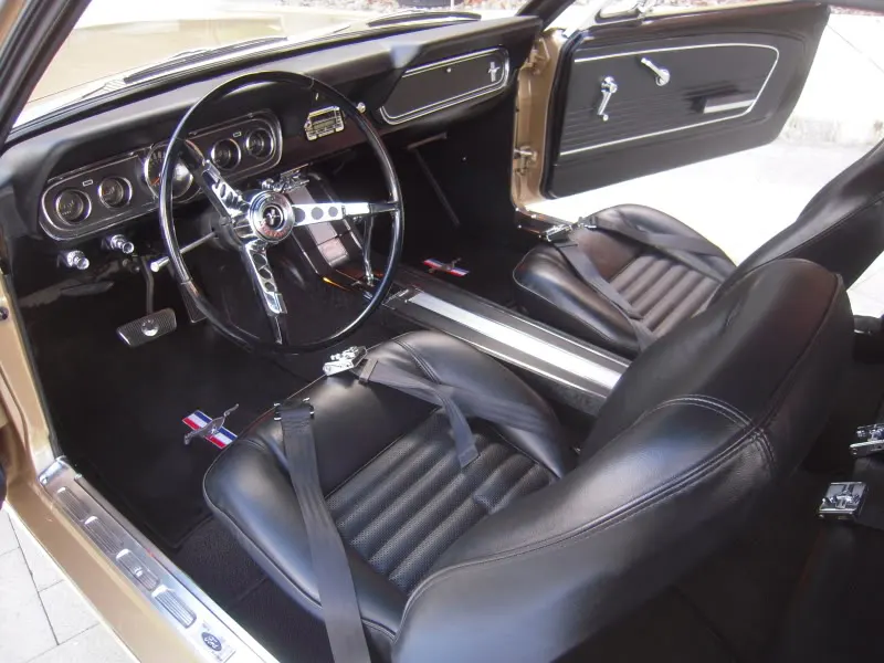 DSCN5272.webp