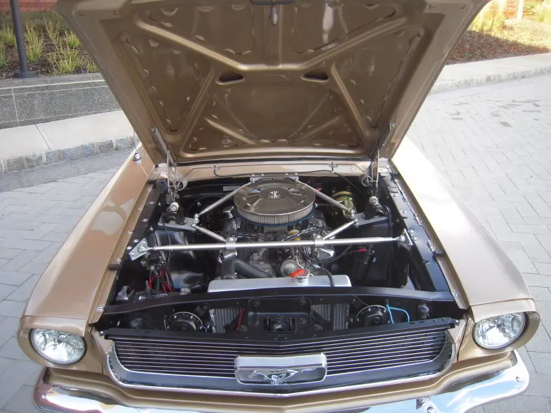 DSCN5278.webp