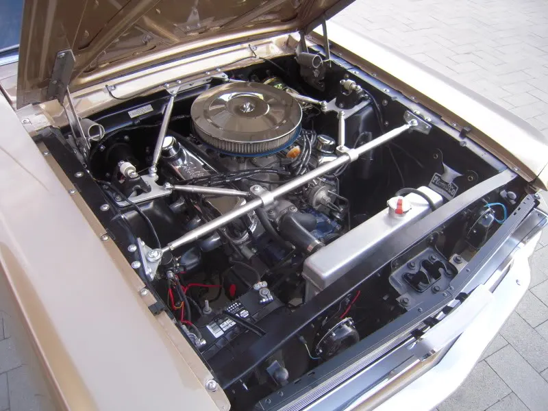 DSCN5281.webp