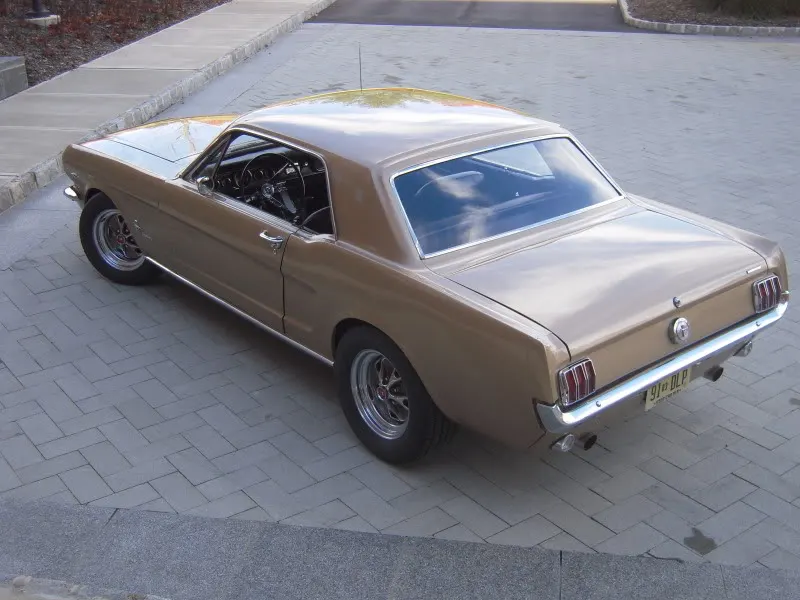 DSCN5283.webp
