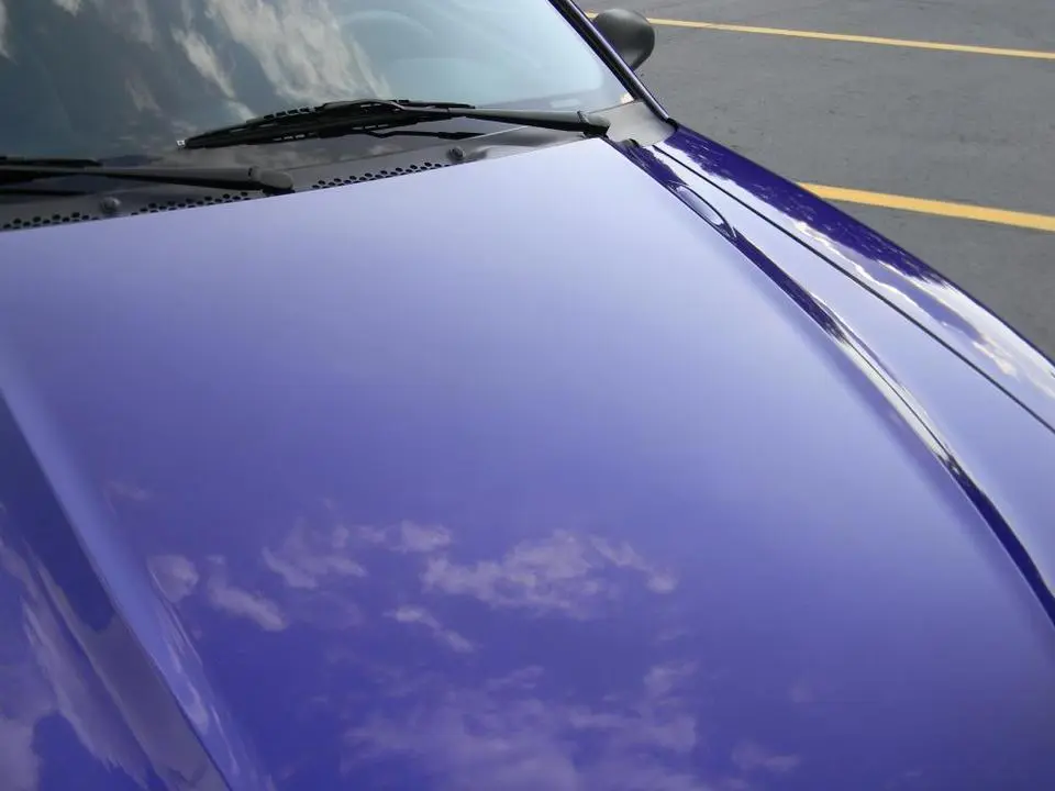 DSCN5364_zps5b7e1bb4.webp