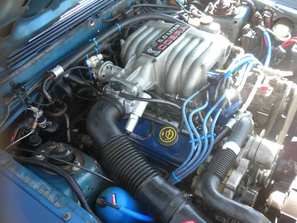 DSCN5372.webp