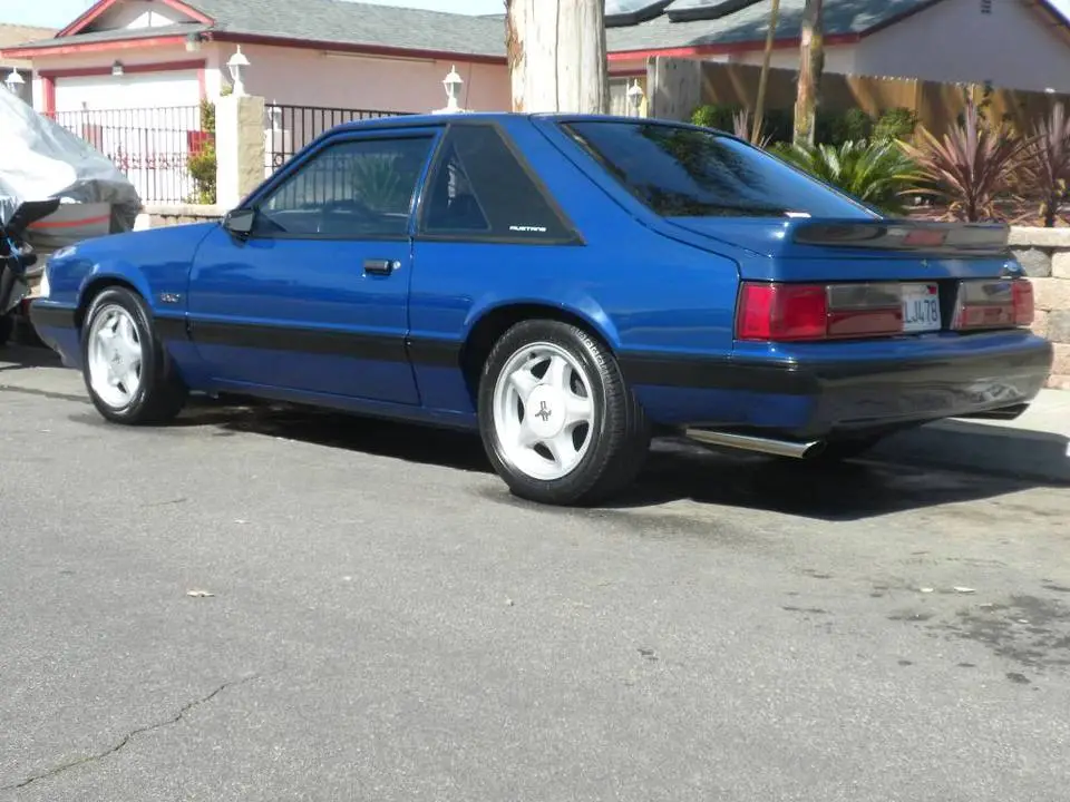 DSCN5378.webp