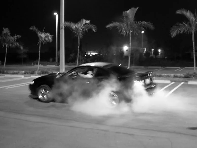 DSCN5385.webp