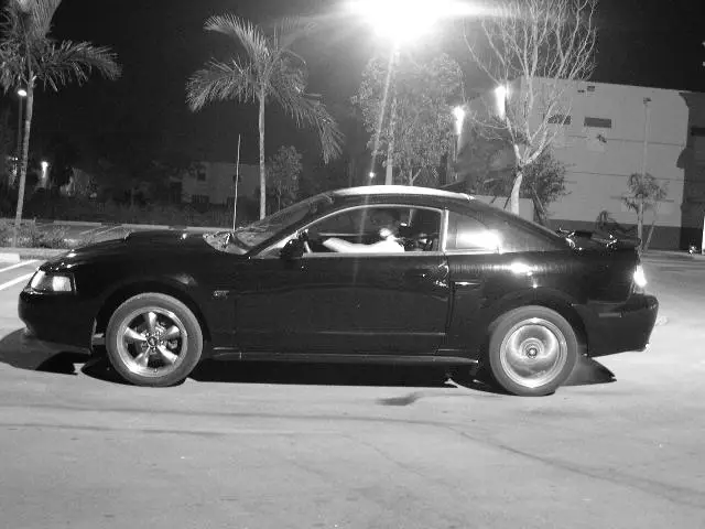 DSCN5387.webp